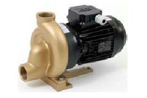 Pahlén Bronzen Spa / Whirlpool pomp