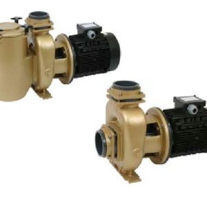Pahlén 7,5 kW bronzen zwembadpomp